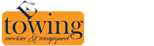 Website Logo